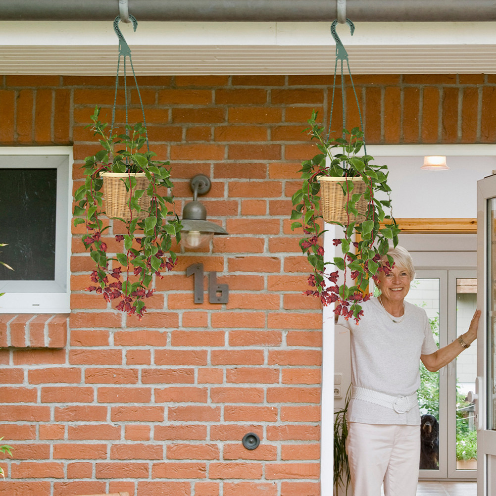 5Pcs Hanging Planter Hooks Set - Spider Plant Hanging recension och pris