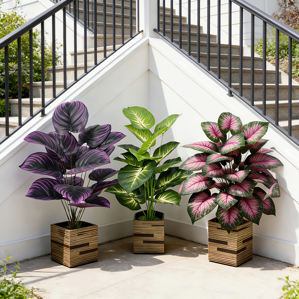 3pc Featuring Various Large-Le - Ficus Lyrata Tree recension och pris