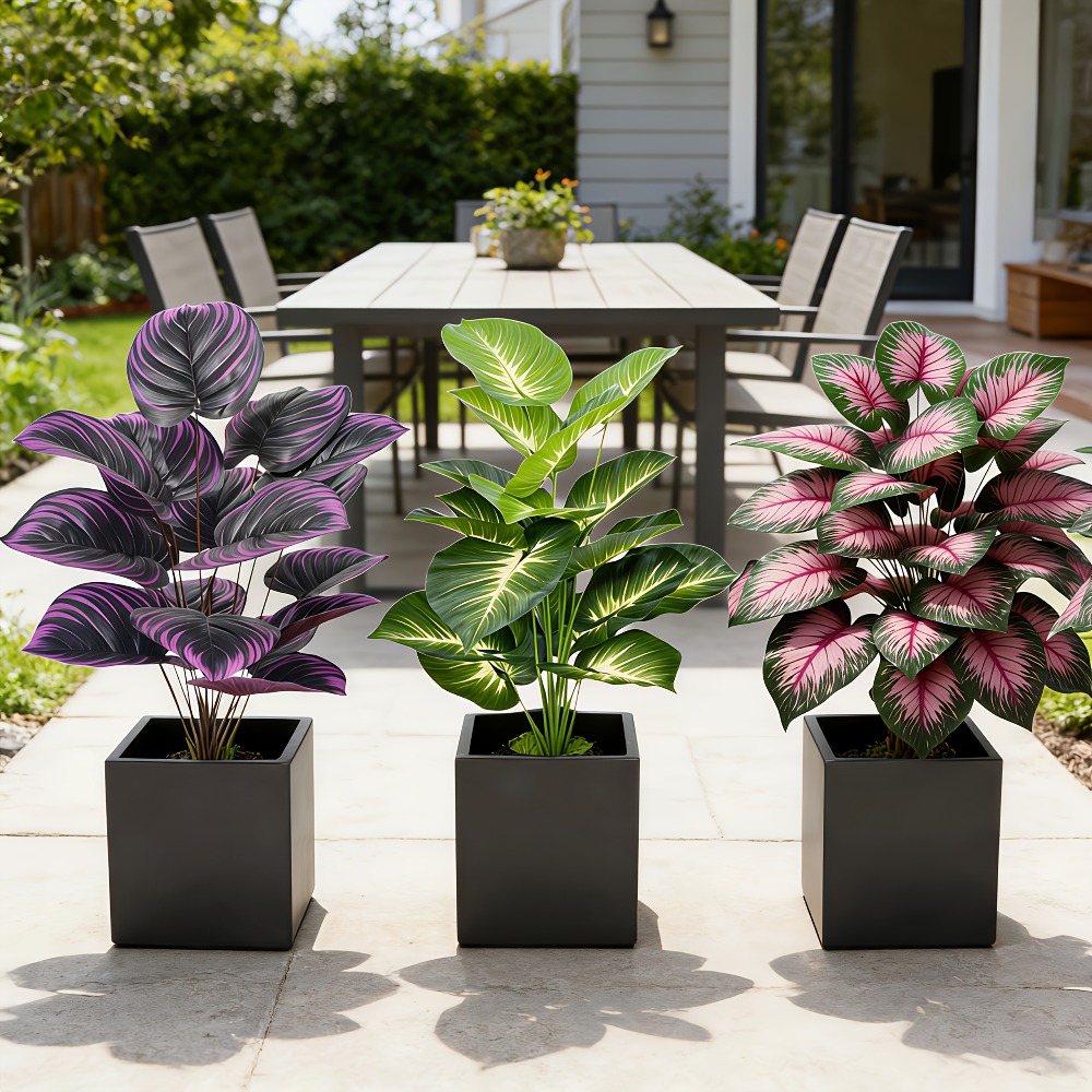 3pc Featuring Various Large-Le - Ficus Lyrata Tree recension och pris