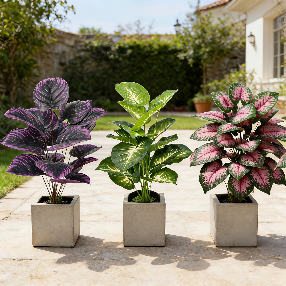 3pc Featuring Various Large-Le - Ficus Lyrata Tree recension och pris