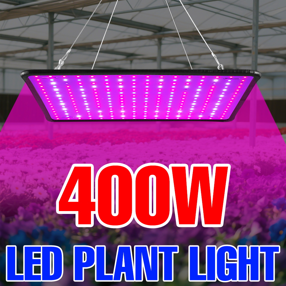 400W LED Grow Light Full Spect - Echeveria Succulent recension och pris