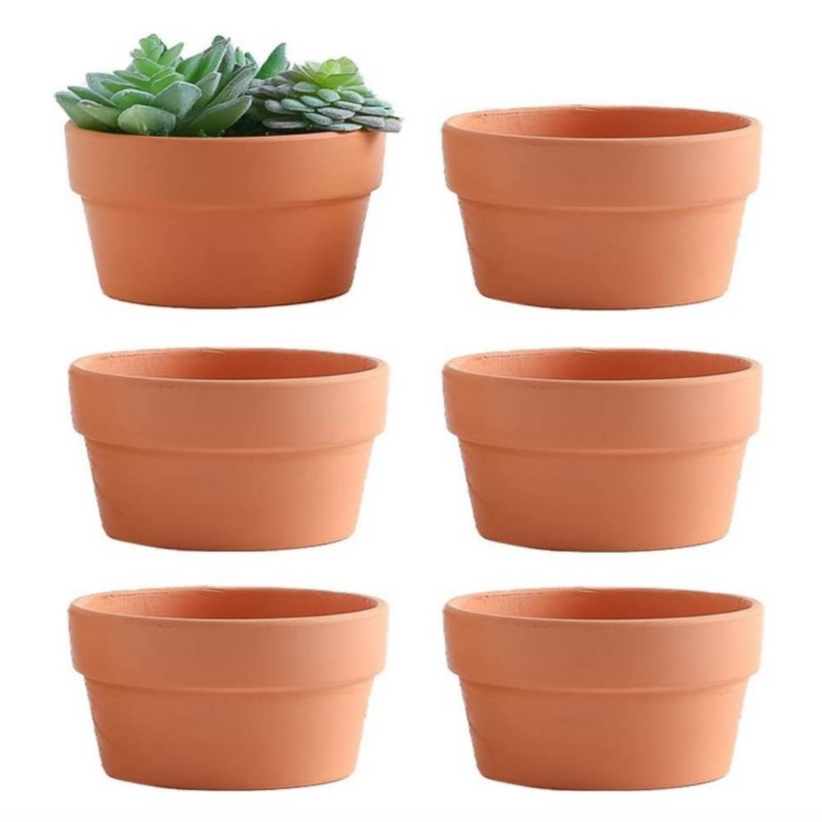6 PCS Terracotta Buld Pots 3.5 - Echeveria Succulent recension och pris