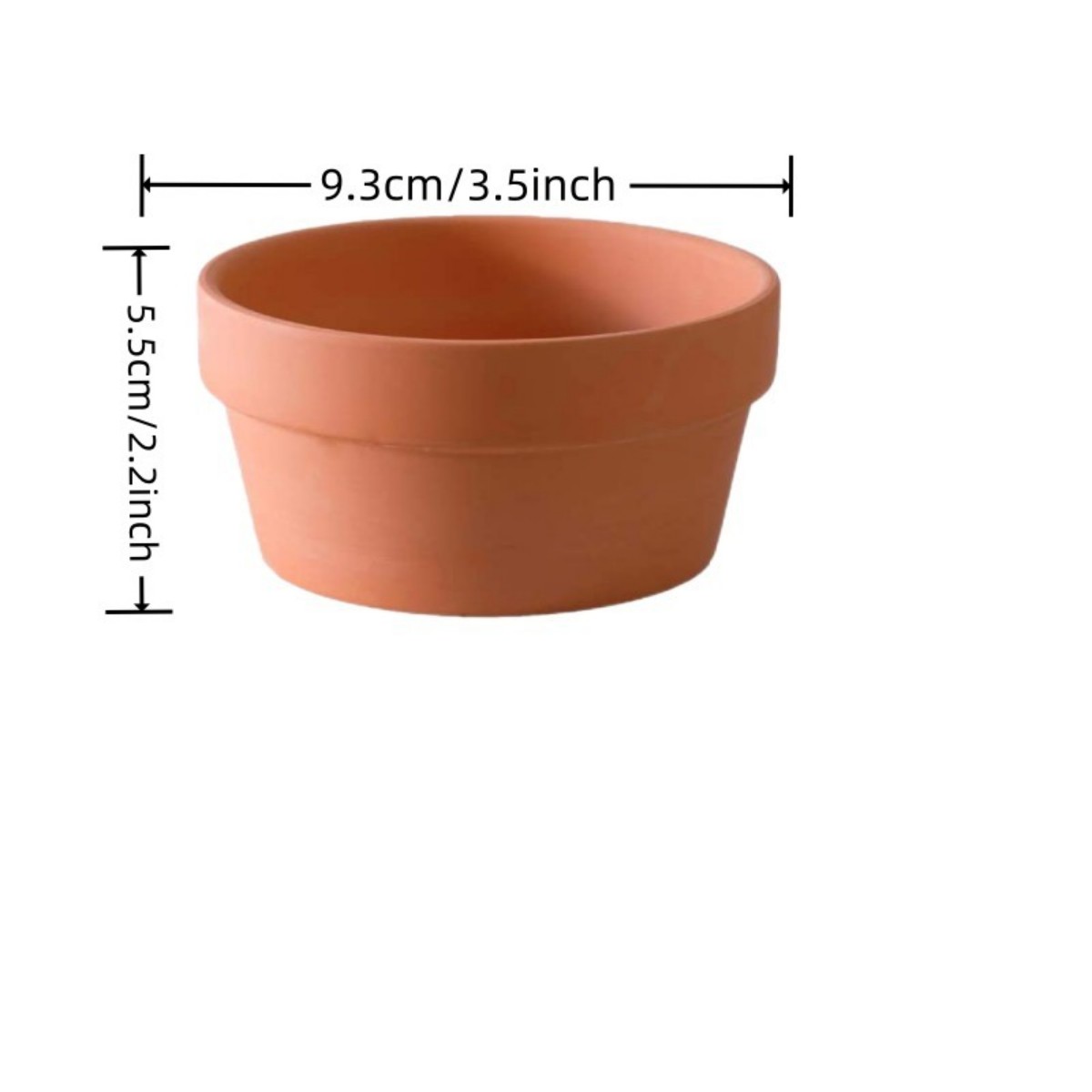 6 PCS Terracotta Buld Pots 3.5 - Echeveria Succulent recension och pris