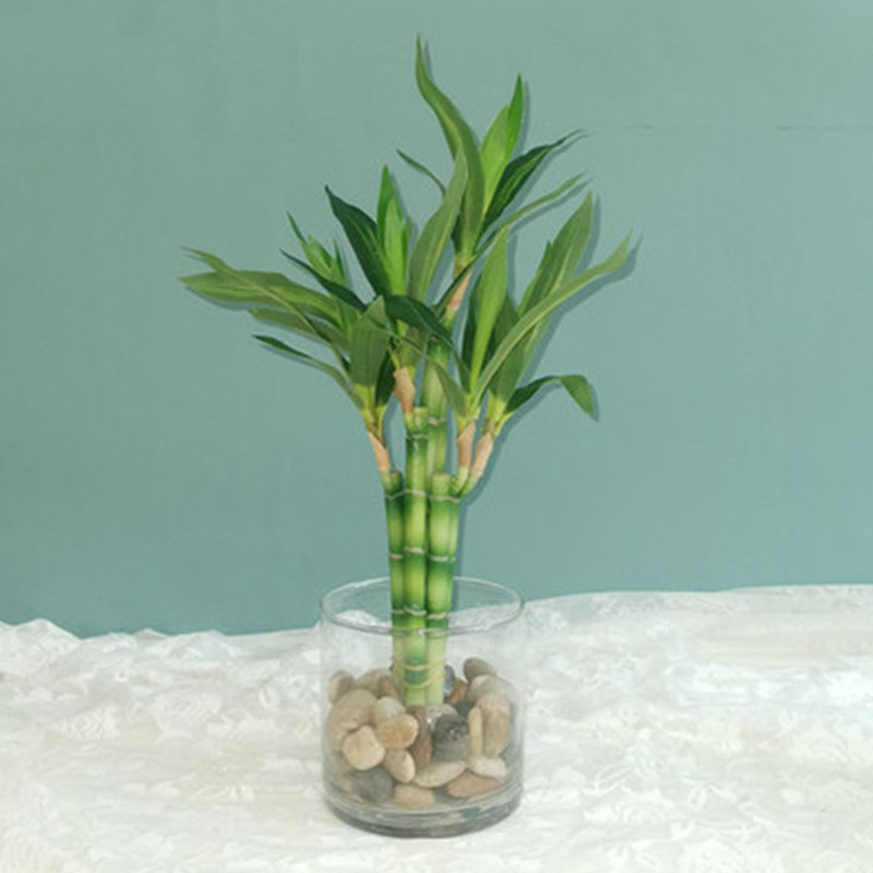 New 40cm rFtificial Lucky Bamb - Echeveria Succulent recension och pris