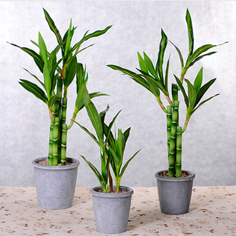 New 40cm rFtificial Lucky Bamb - Echeveria Succulent recension och pris