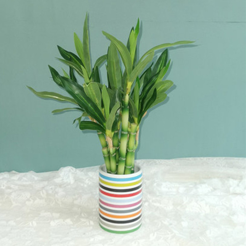 New 40cm rFtificial Lucky Bamb - Echeveria Succulent recension och pris