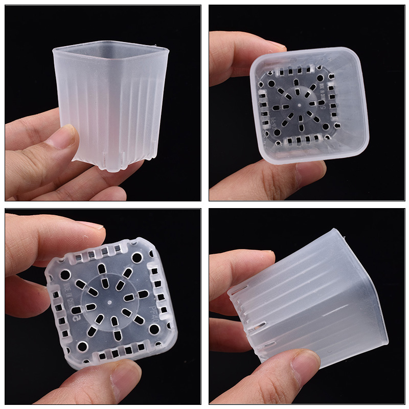 50-100Pcs 4cm Mini Thicken Whi - Echeveria Succulent recension och pris