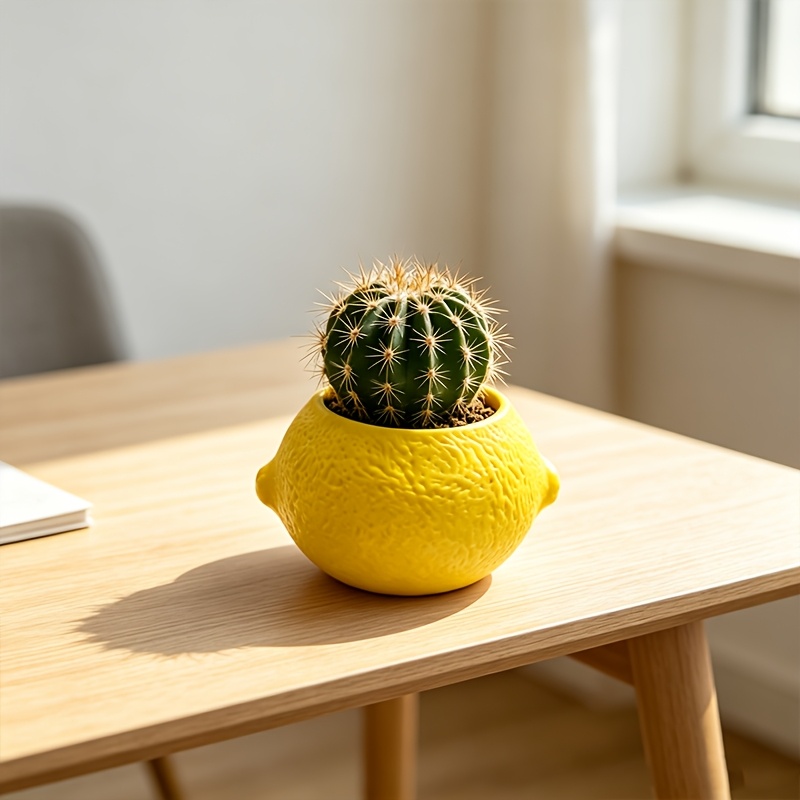 Lemon Shape Decorative Planter - Echeveria Succulent recension och pris