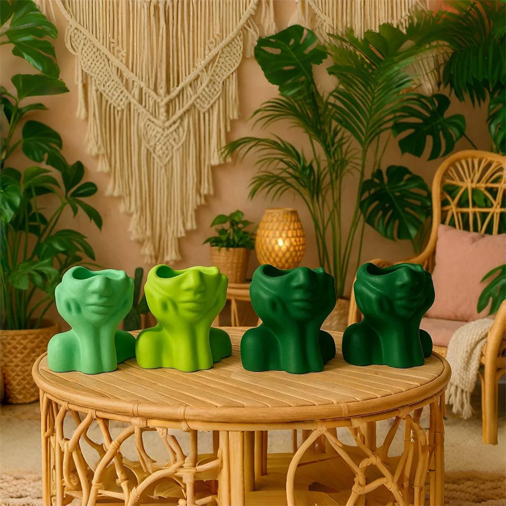 Abstract Face Planter Pot Sili - Echeveria Succulent recension och pris