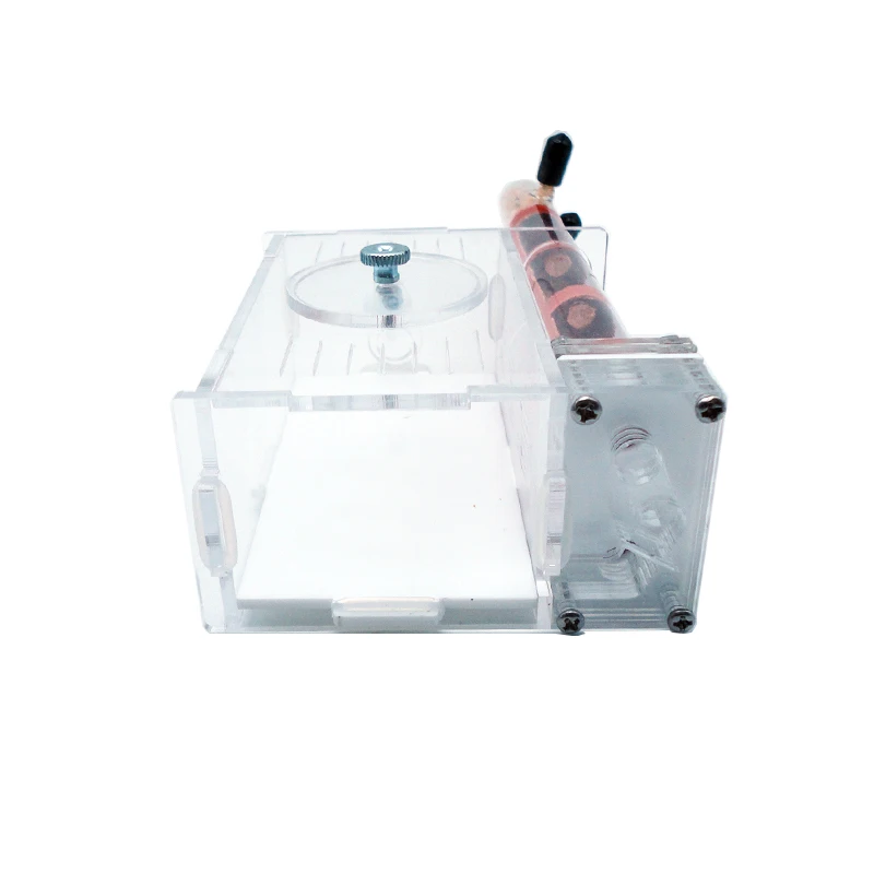 DIY Ant Farm 2 pcs 18-180mm Gy - Begonia Rex recension och pris