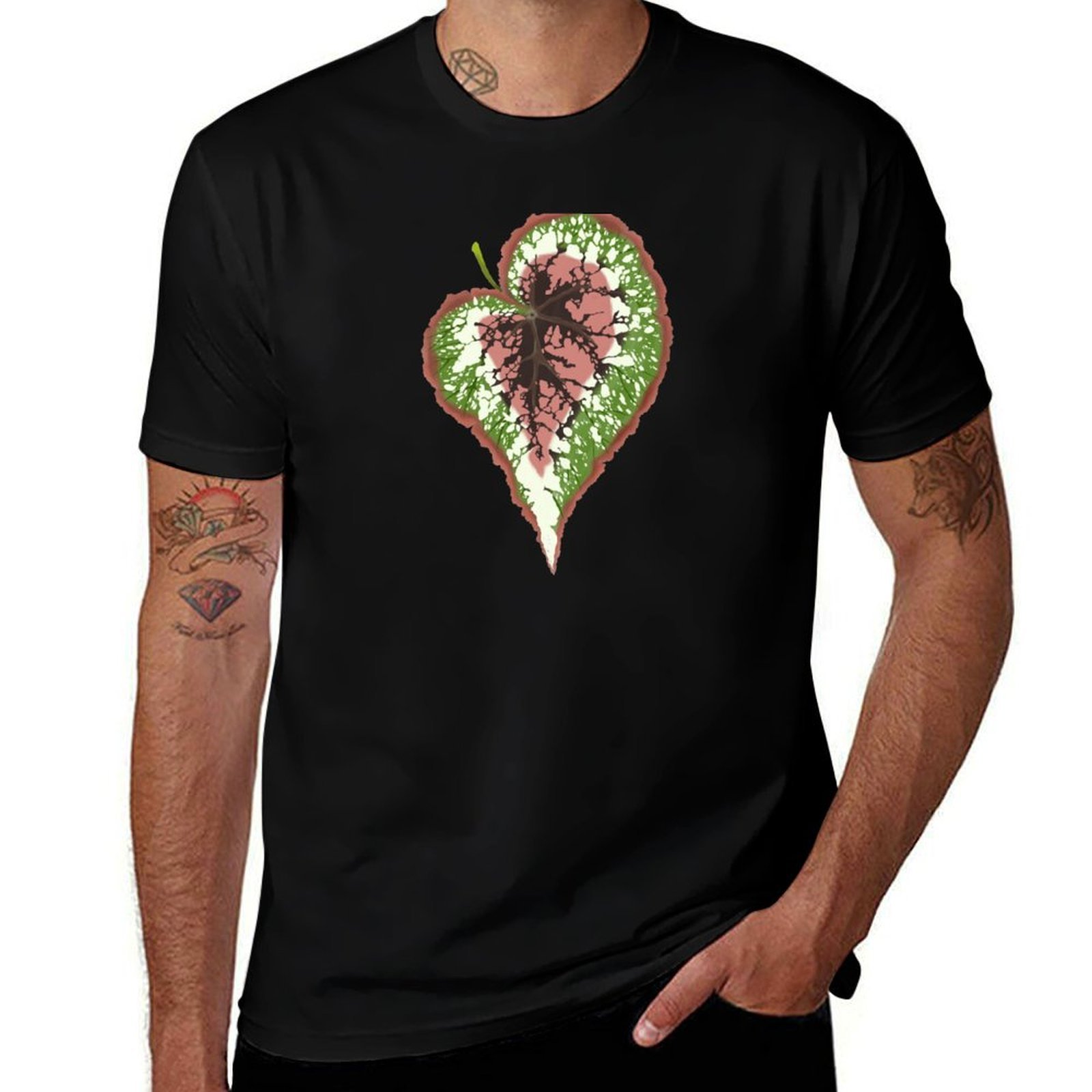Begonia Rex T-Shirt Basic Simp - Begonia Rex recension och pris