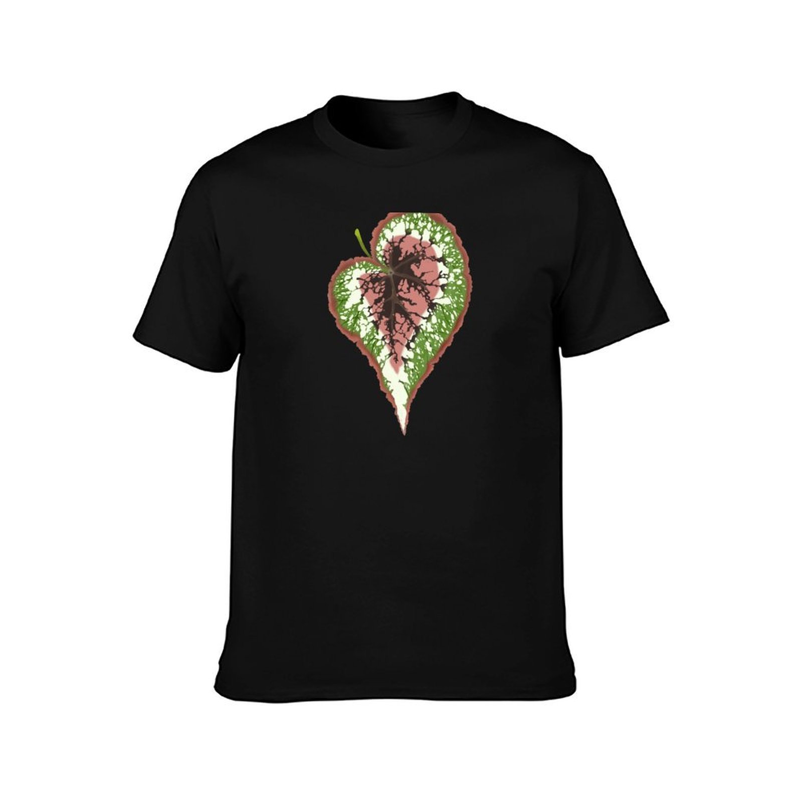 Begonia Rex T-Shirt Basic Simp - Begonia Rex recension och pris