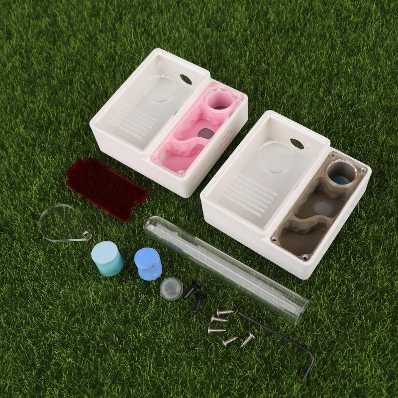 1Pcs Ant Farm Queen Ant's Nest - Begonia Rex recension och pris