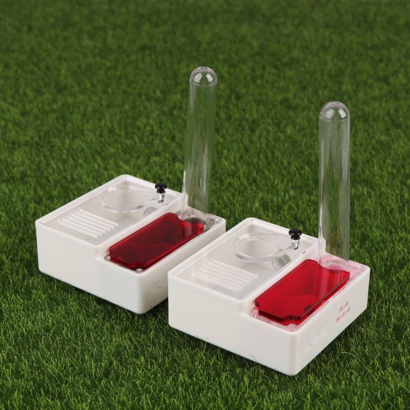 1Pcs Ant Farm Queen Ant's Nest - Begonia Rex recension och pris