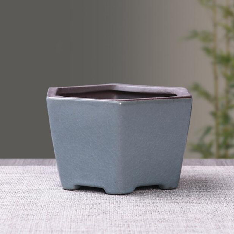 Retro Ceramic Flower Pot Aspar - Echeveria Succulent recension och pris