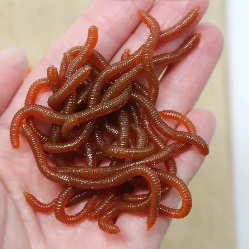 Lifelike Fishy Smell Red Soft  - Aglaonema Red recension och pris