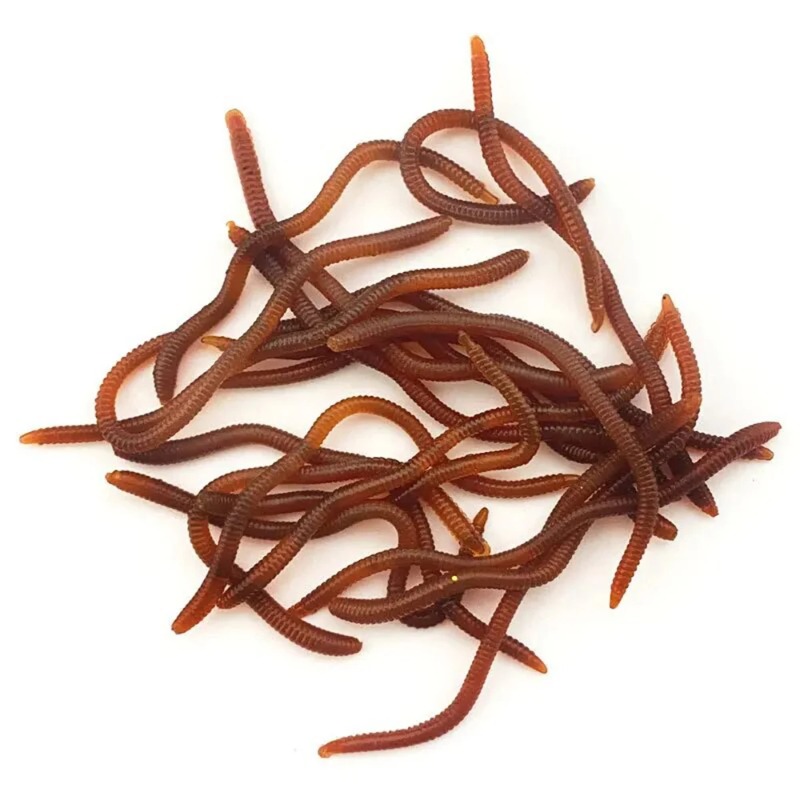 Lifelike Fishy Smell Red Soft  - Aglaonema Red recension och pris