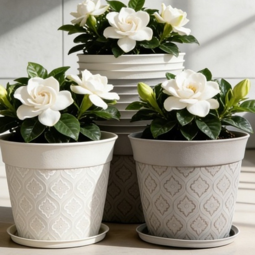 8in Flower Pot With Drainage H - Echeveria Succulent recension och pris