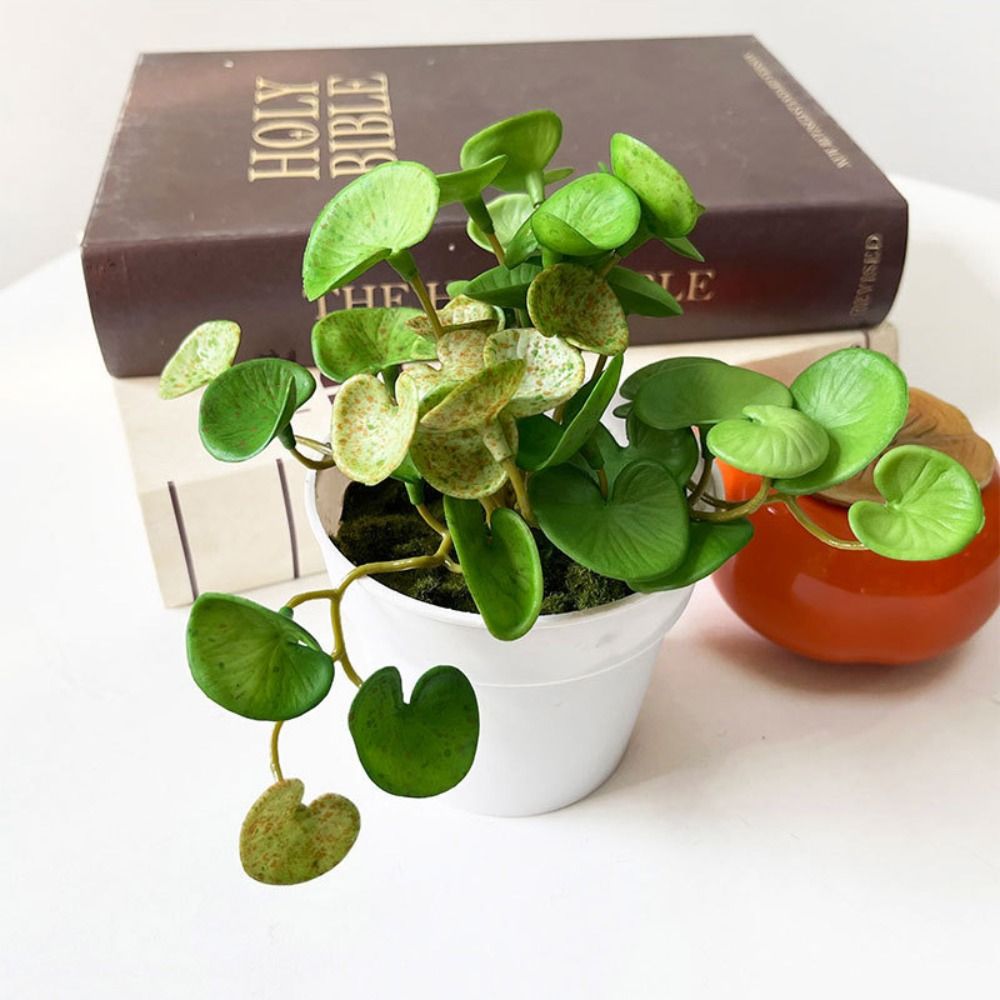 Soft Glue Artificial Plant EVA - Echeveria Succulent recension och pris