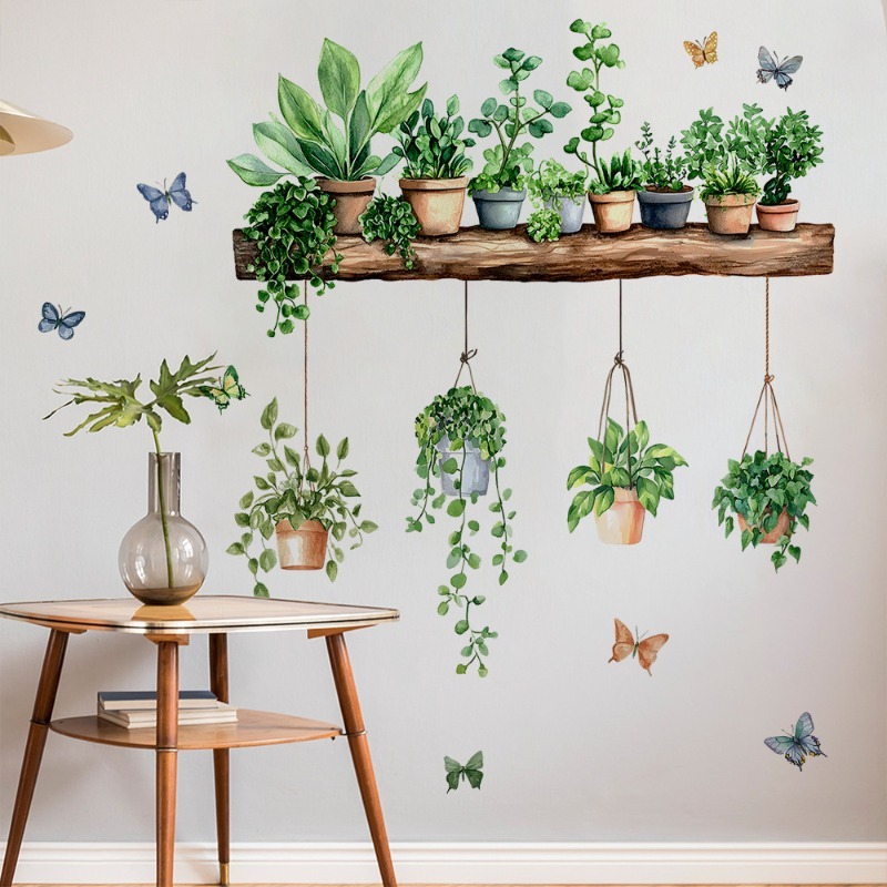 3D Potted Green Plant Shelf Wa - Echeveria Succulent recension och pris