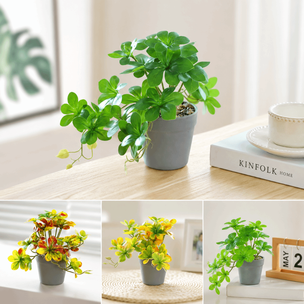 Bonsai Artificial Bonsai Plant - Spider Plant Hanging recension och pris