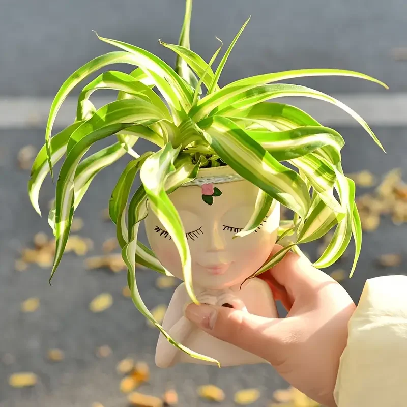 Heart‑Handed Girl Resin Succul - Echeveria Succulent recension och pris