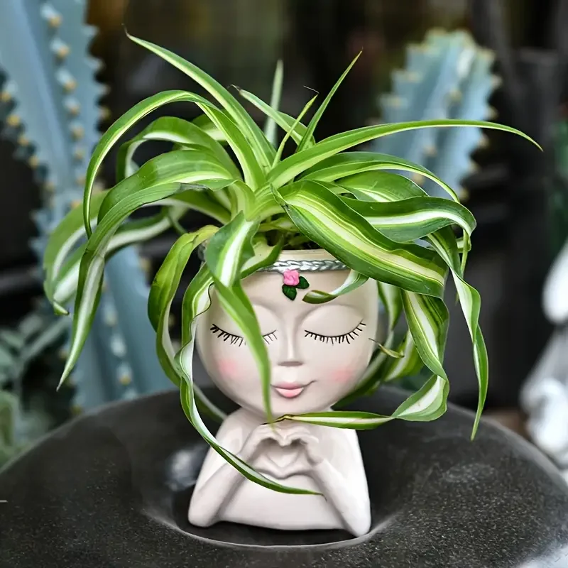 Heart‑Handed Girl Resin Succul - Echeveria Succulent recension och pris