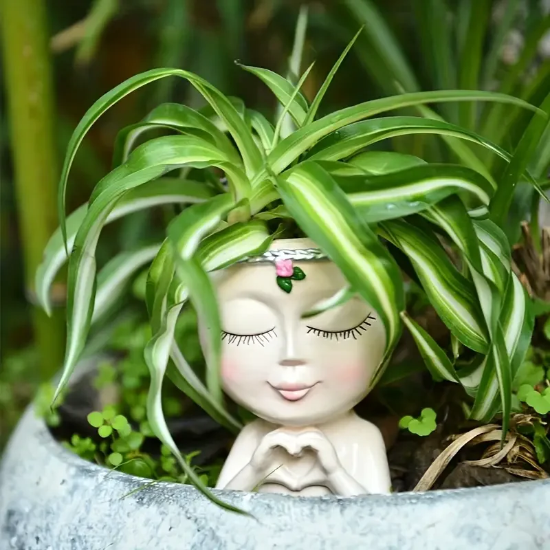 Heart‑Handed Girl Resin Succul - Echeveria Succulent recension och pris