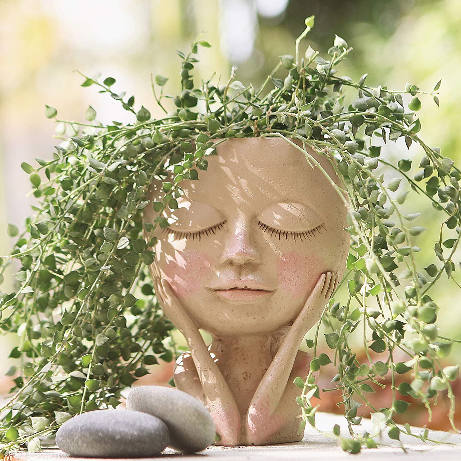 Girls Face Head Flower Planter - Echeveria Succulent recension och pris